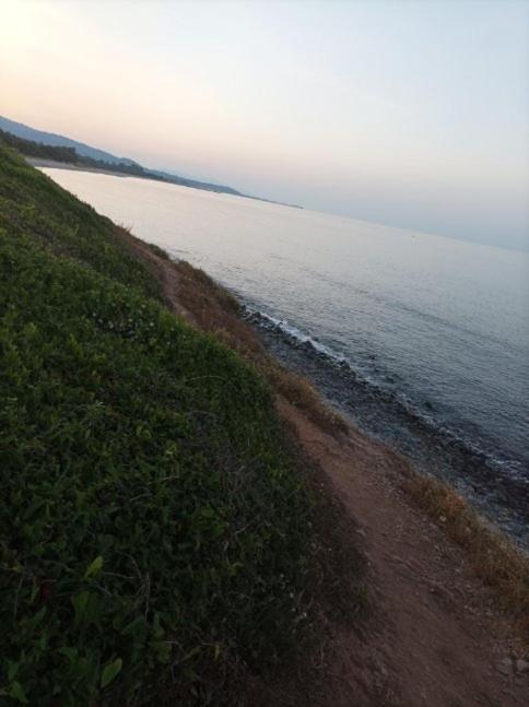 Villa Climatisee A Nuciola Prunete Entre Mer, Montagne Et Piscine Cervione Dış mekan fotoğraf