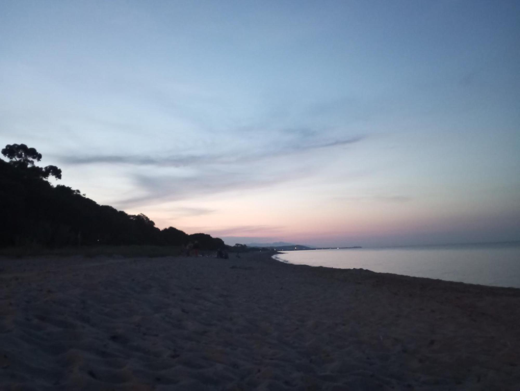 Villa Climatisee A Nuciola Prunete Entre Mer, Montagne Et Piscine Cervione Dış mekan fotoğraf