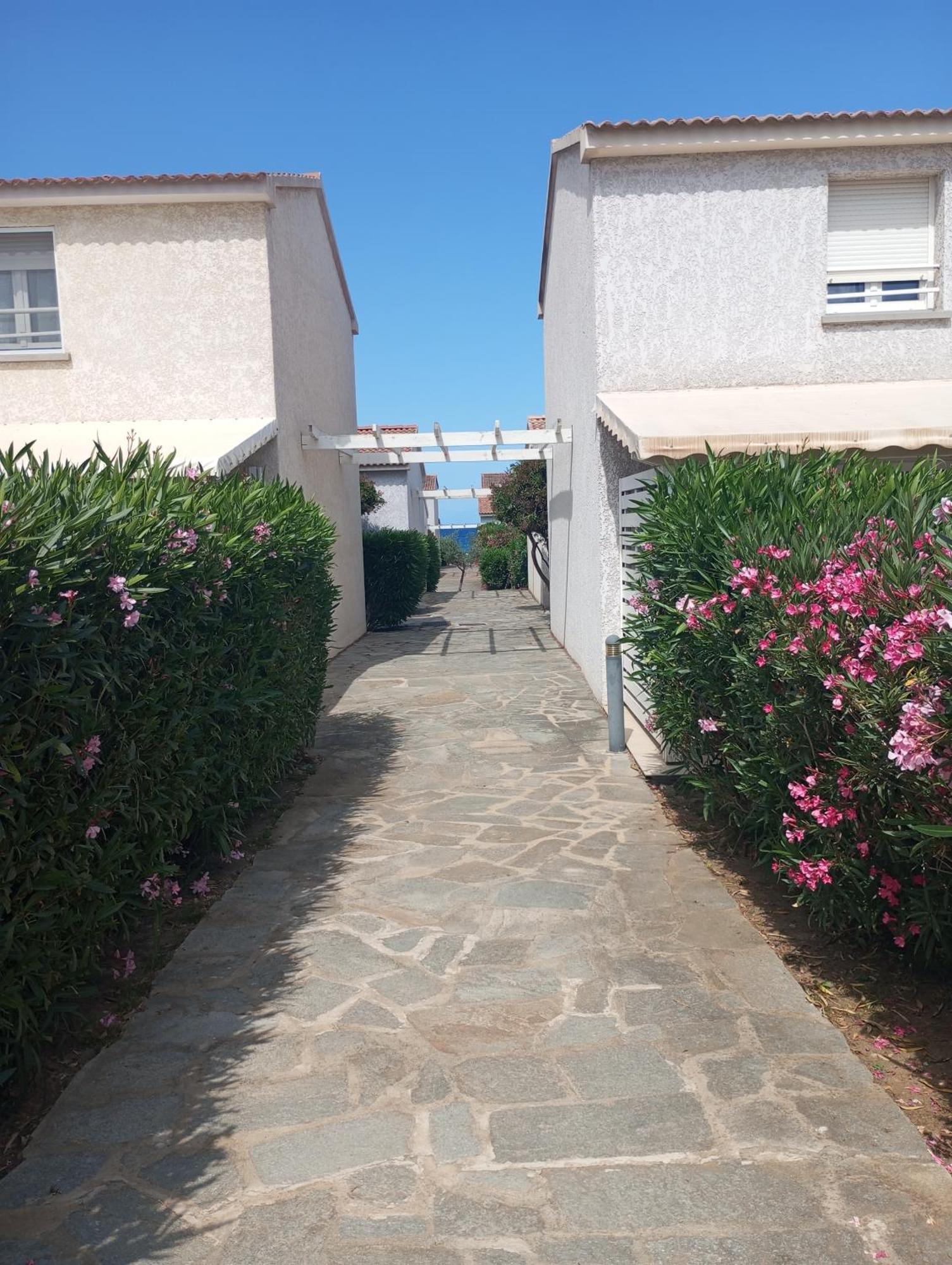 Villa Climatisee A Nuciola Prunete Entre Mer, Montagne Et Piscine Cervione Dış mekan fotoğraf
