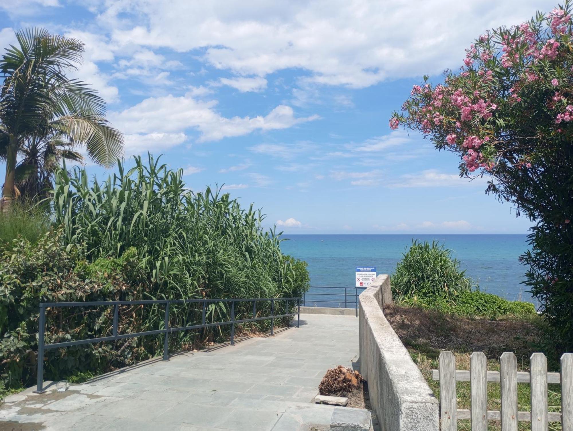 Villa Climatisee A Nuciola Prunete Entre Mer, Montagne Et Piscine Cervione Dış mekan fotoğraf