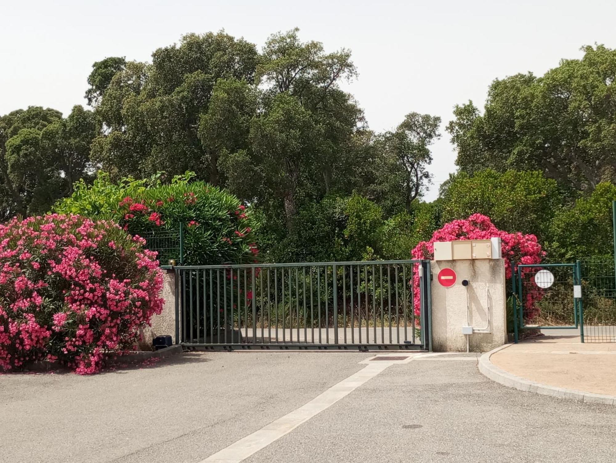 Villa Climatisee A Nuciola Prunete Entre Mer, Montagne Et Piscine Cervione Dış mekan fotoğraf