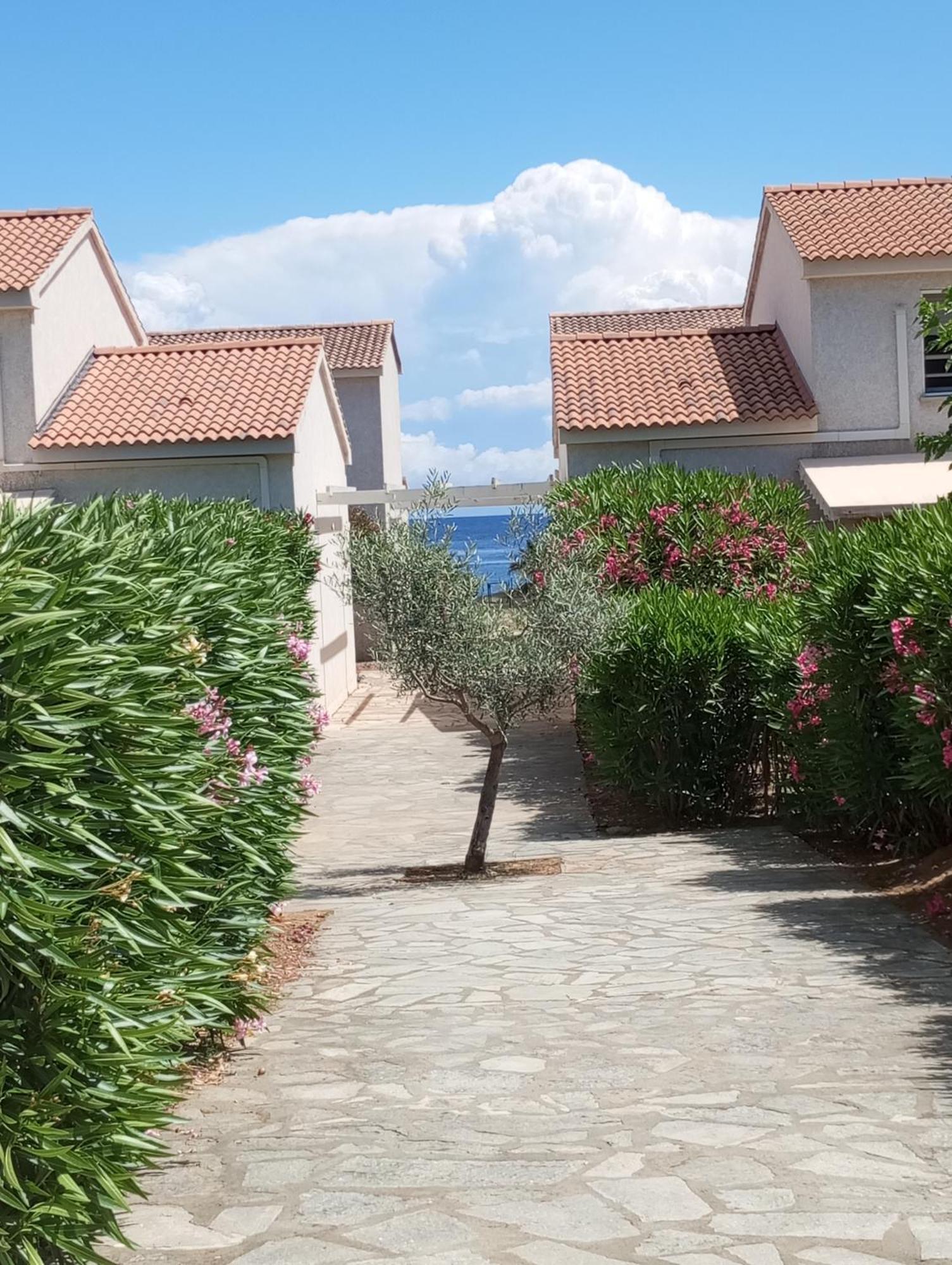 Villa Climatisee A Nuciola Prunete Entre Mer, Montagne Et Piscine Cervione Dış mekan fotoğraf