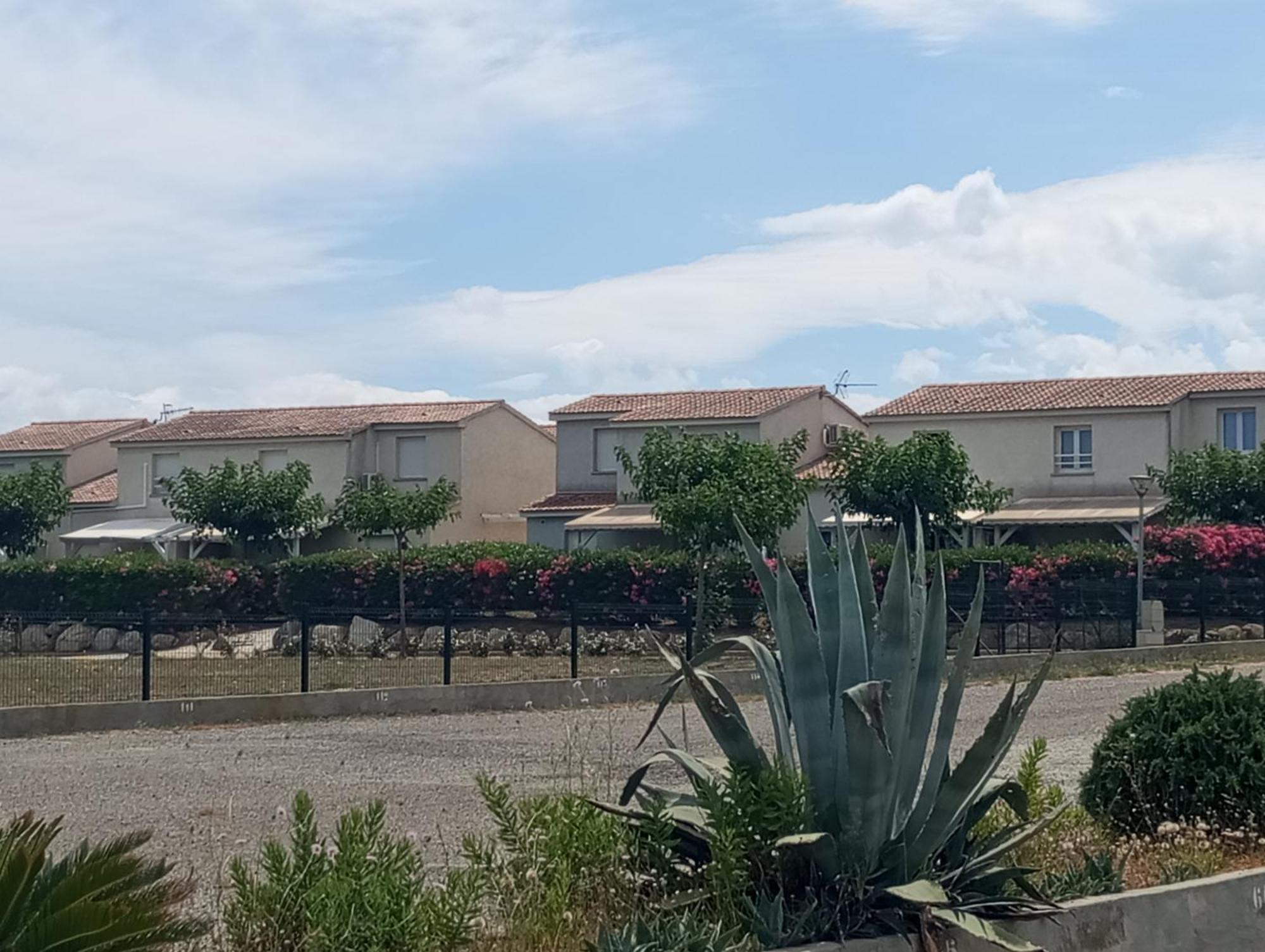 Villa Climatisee A Nuciola Prunete Entre Mer, Montagne Et Piscine Cervione Dış mekan fotoğraf
