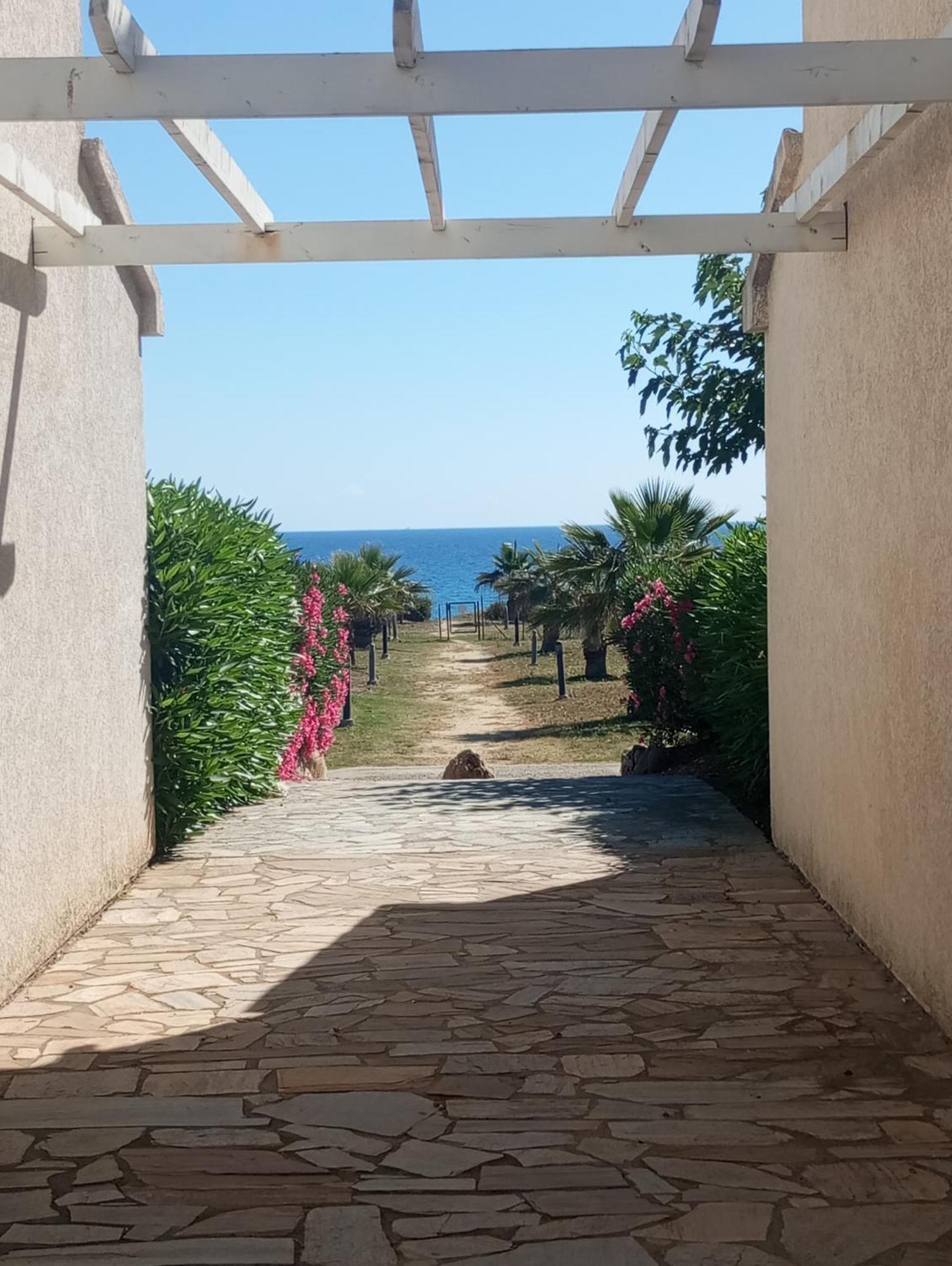 Villa Climatisee A Nuciola Prunete Entre Mer, Montagne Et Piscine Cervione Dış mekan fotoğraf